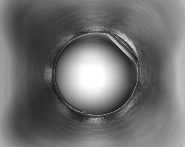 X0000096720057200802051451