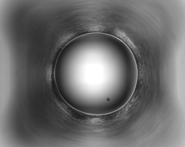 X0000096720058200802051451