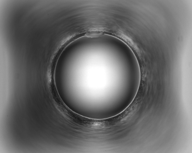 X0000096720060200802051451