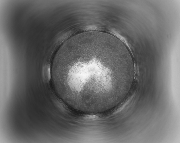 X0000096720061200802051451