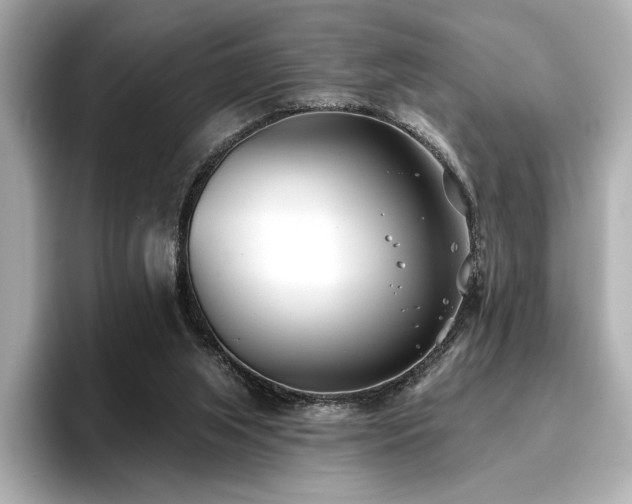 X0000096720063200802051451