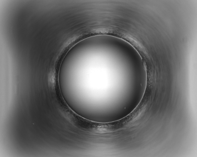 X0000096720064200802051451