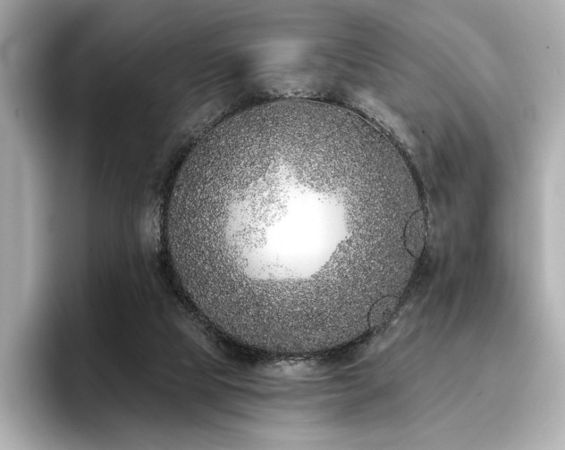 X0000096720065200802051451
