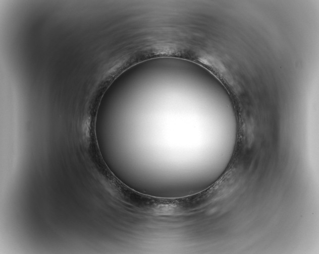 X0000096720066200802051451