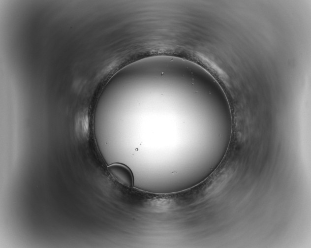 X0000096720067200802051451