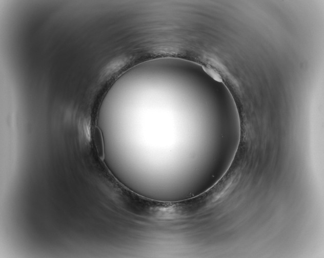 X0000096720068200802051451