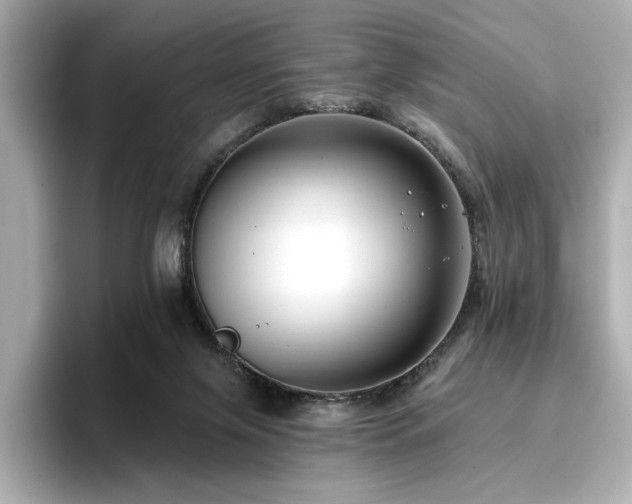 X0000096720071200802051451
