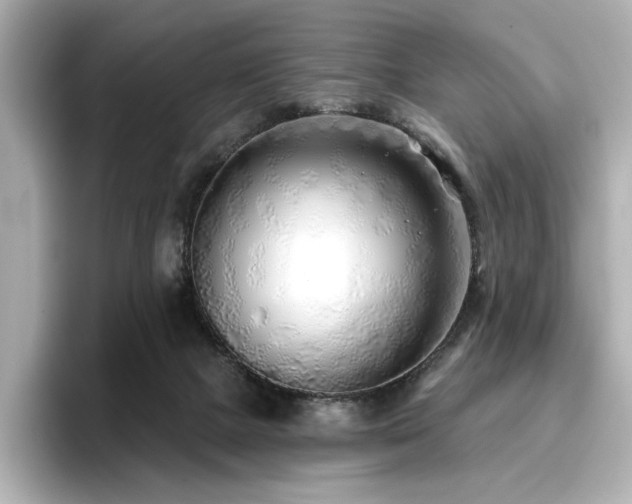 X0000096720073200802051451
