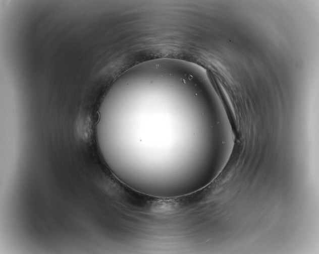 X0000096720077200802051451