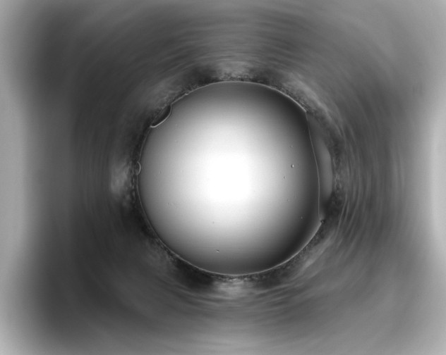 X0000096720079200802051451