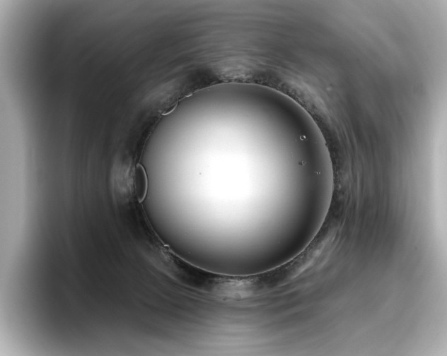 X0000096720081200802051451
