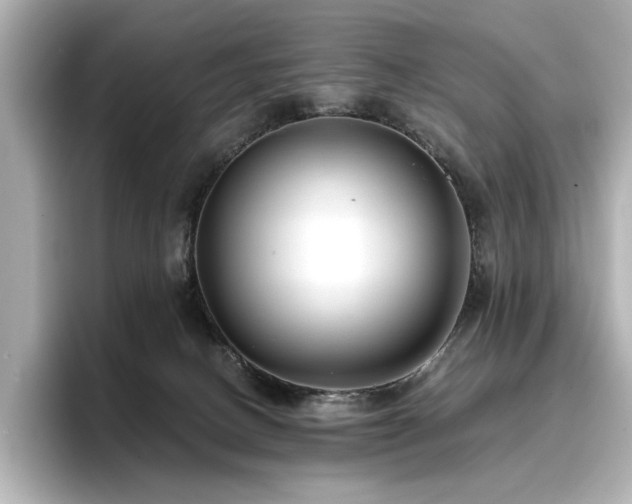 X0000096720082200802051451
