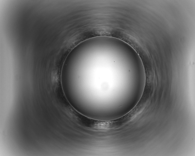 X0000096720084200802051451