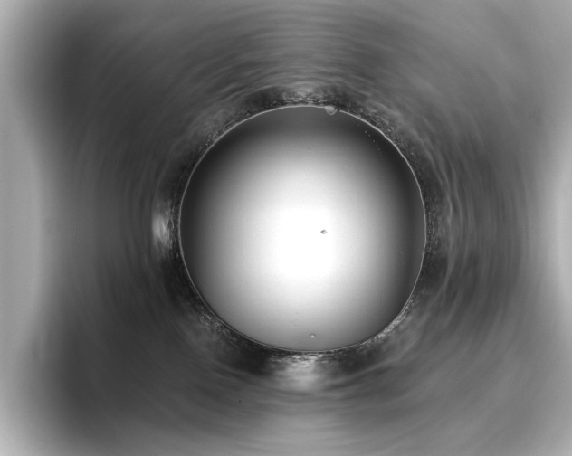 X0000096720090200802051451