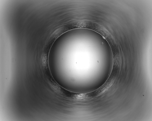 X0000096720092200802051451