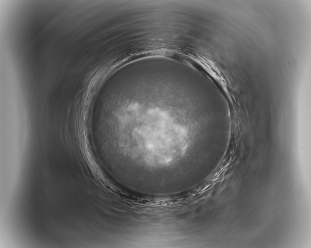 X0000096720097200802051451