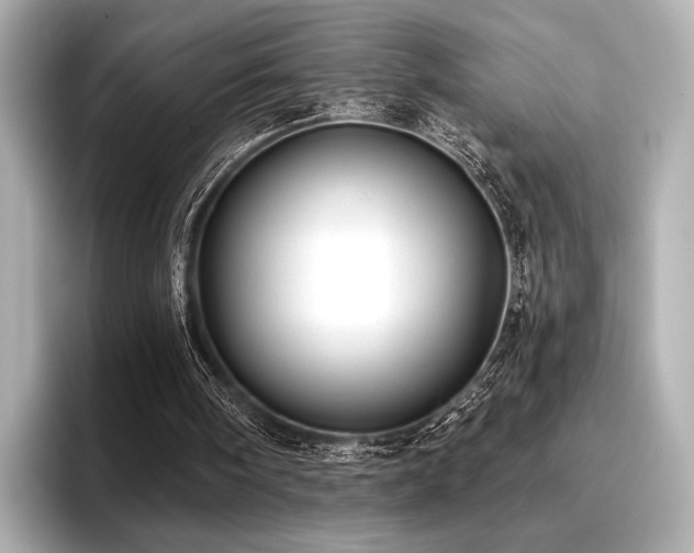 X0000096720098200802051451