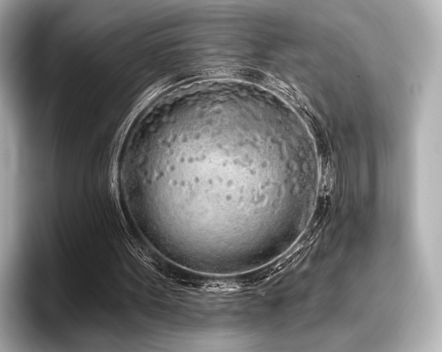 X0000096720099200802051451