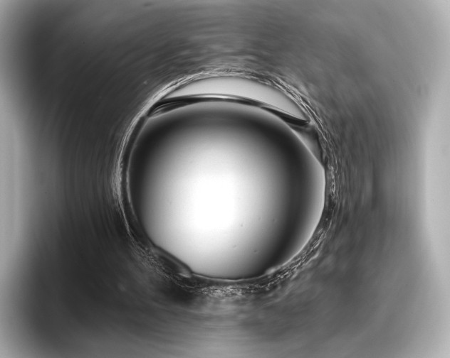 X0000096720100200802051451
