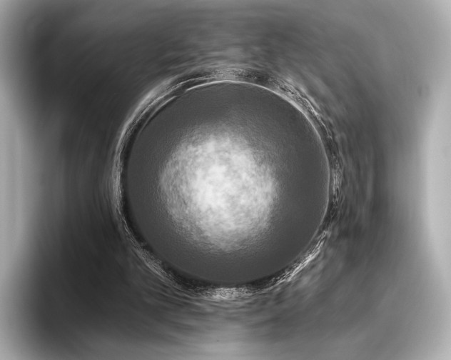 X0000096720101200802051451