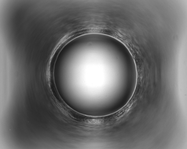 X0000096720102200802051451