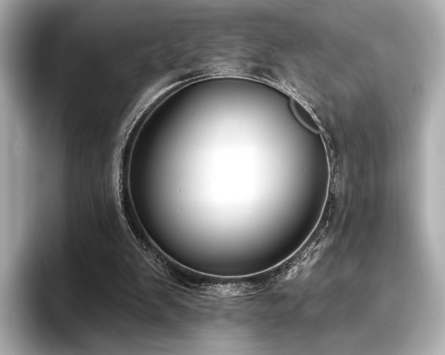X0000096720103200802051451