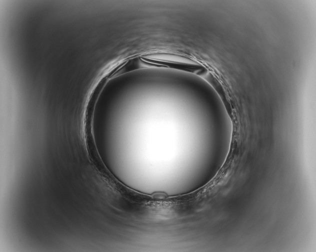 X0000096720104200802051451