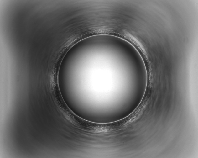 X0000096720105200802051451