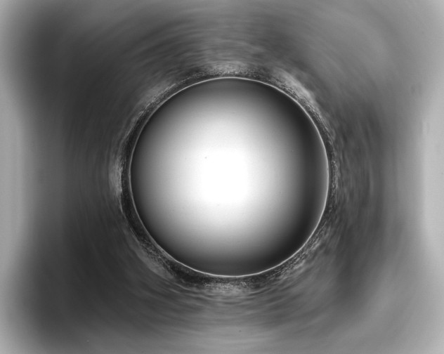 X0000096720106200802051451
