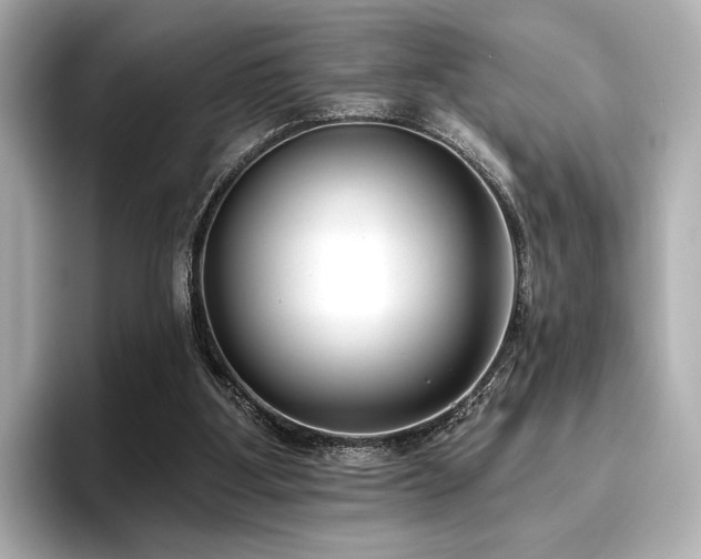 X0000096720107200802051451
