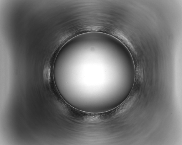 X0000096720110200802051451