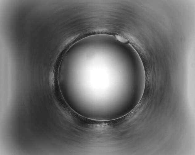 X0000096720112200802051451