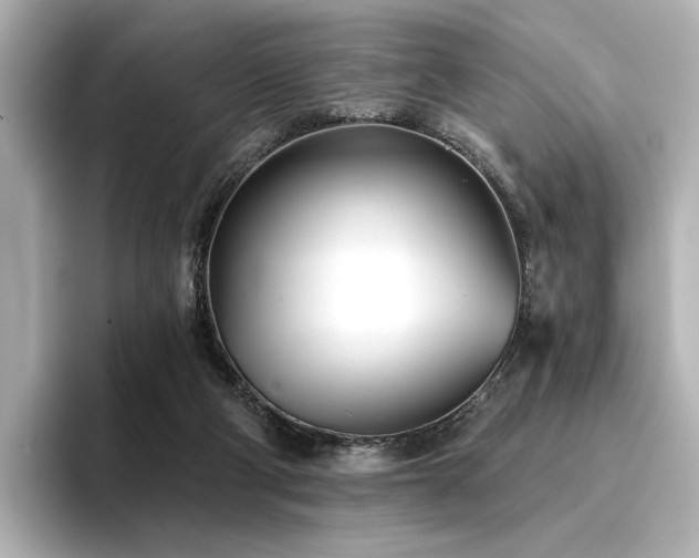 X0000096720114200802051451