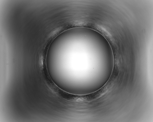 X0000096720115200802051451