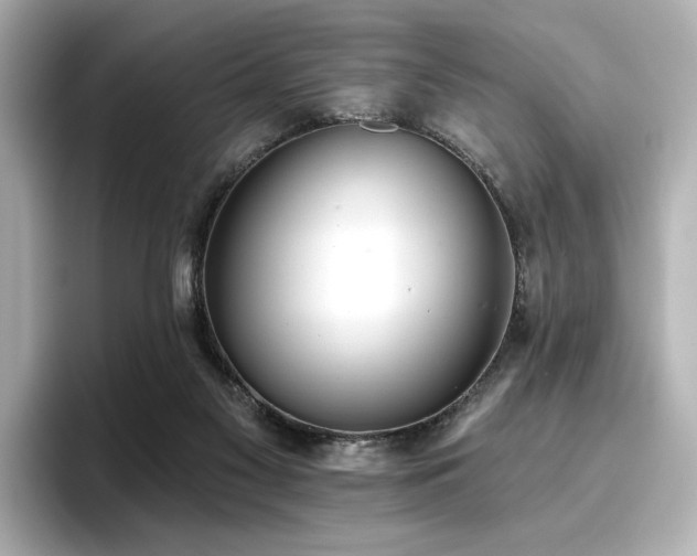 X0000096720117200802051451