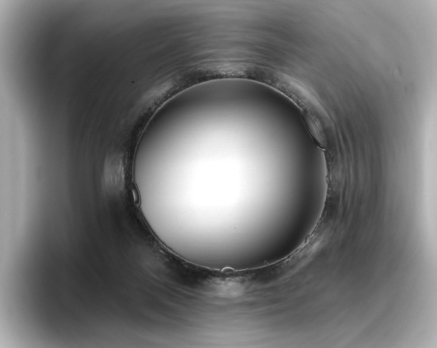 X0000096720120200802051451