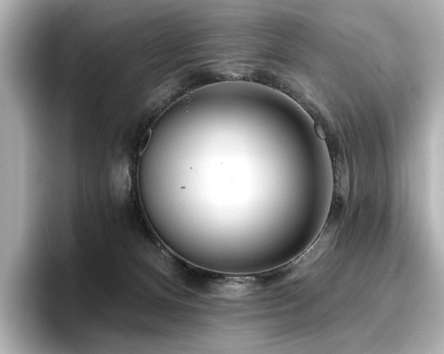 X0000096720128200802051450