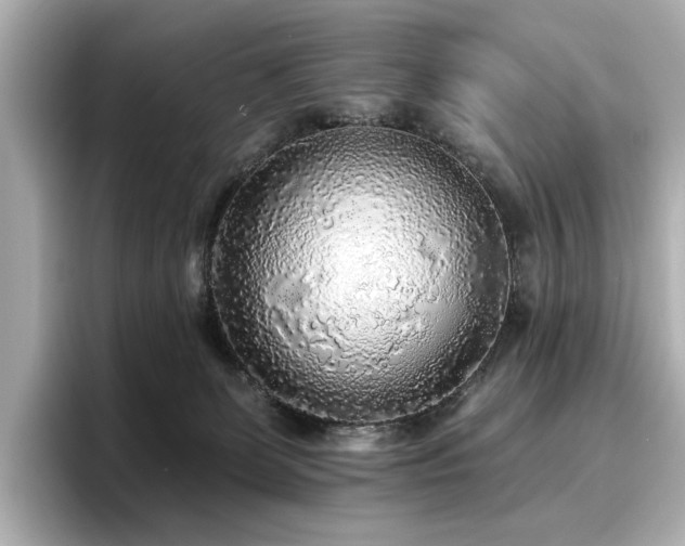 X0000096720131200802051450