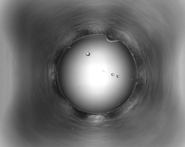 X0000096720133200802051450