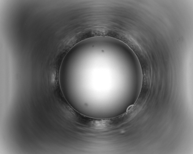 X0000096720134200802051450