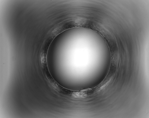 X0000096720137200802051450