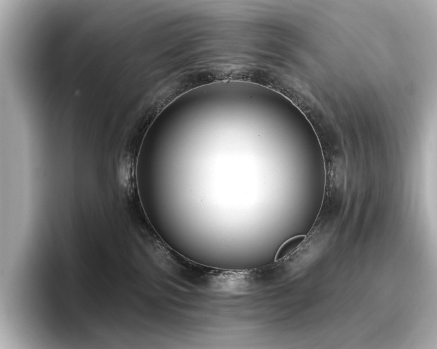 X0000096720138200802051450