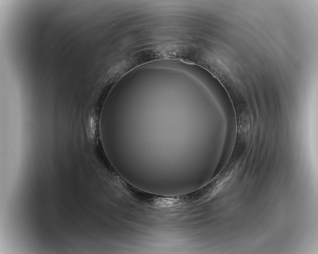X0000096720139200802051450