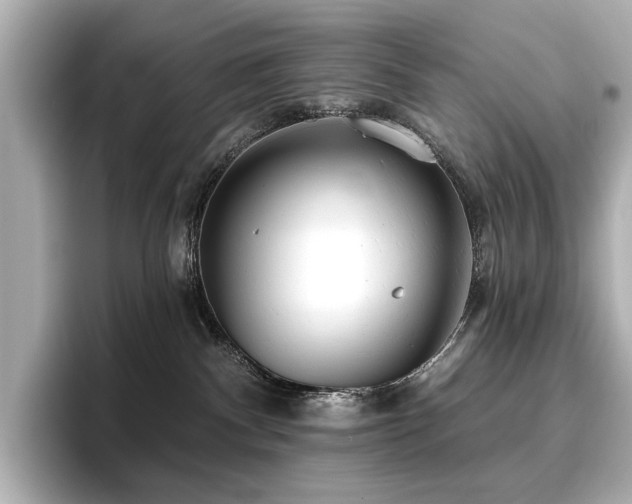 X0000096720140200802051450