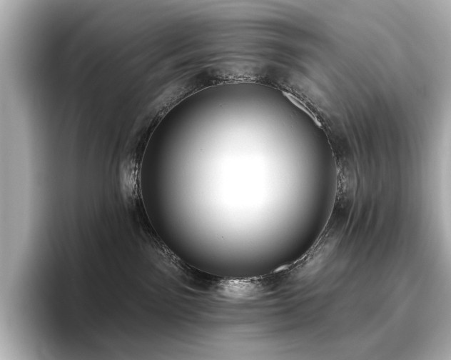 X0000096720141200802051450