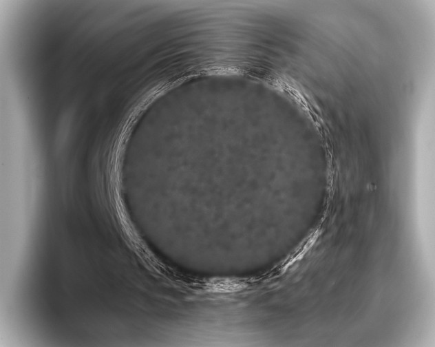 X0000096720145200802051450