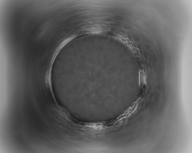X0000096720147200802051450