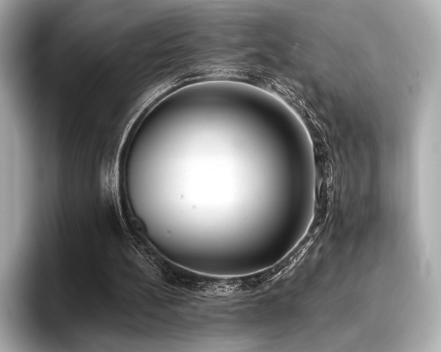 X0000096720148200802051450