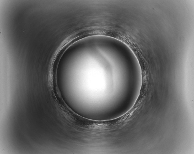 X0000096720150200802051450