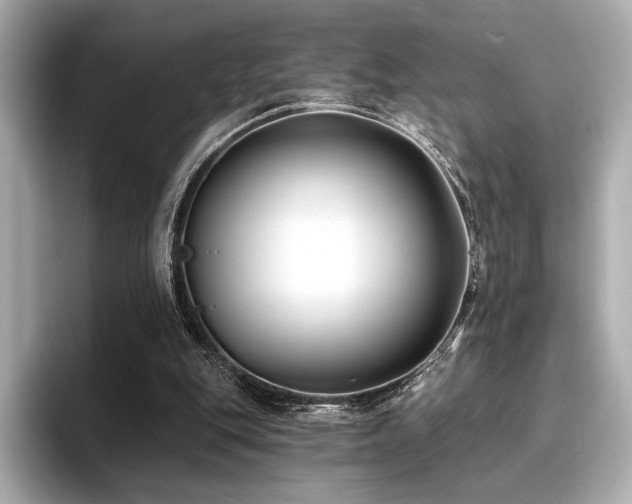 X0000096720151200802051450